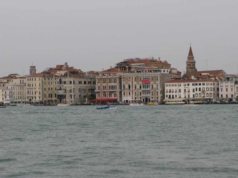 IMG_5447 
