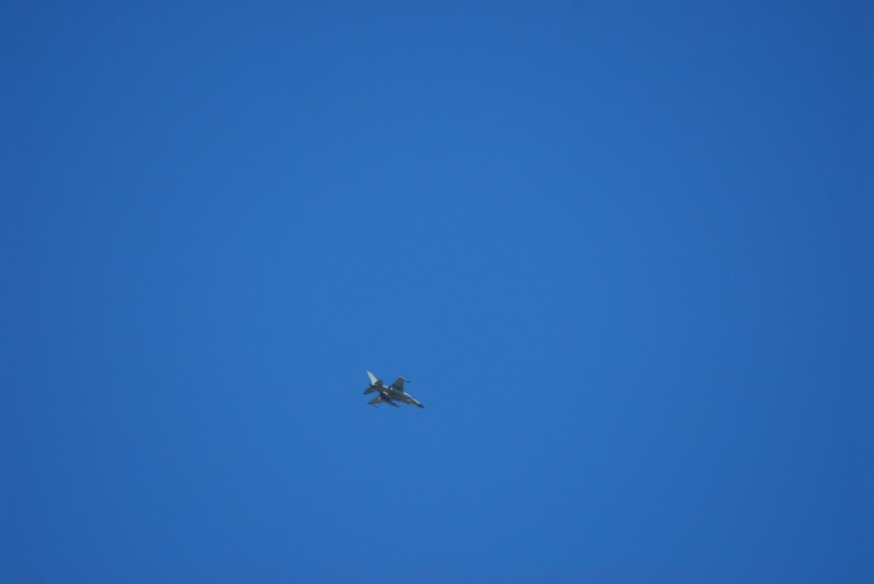 DSC_0314 