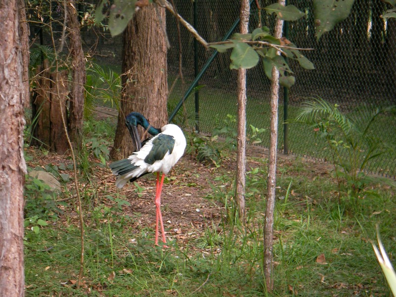 SANY0269 